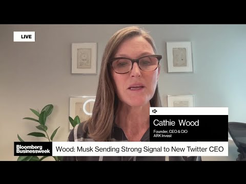 ARK’s Cathie Wood on Tesla, Twitter and China Stocks