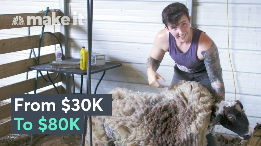 Bringing In K A Year Shearing Sheep in Texas | On The Job