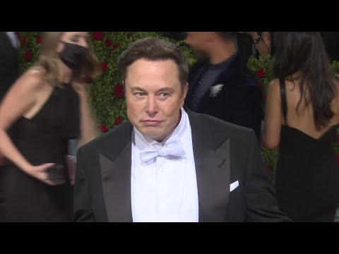 Watch Elon Musk Walk the Red Carpet With His Mom