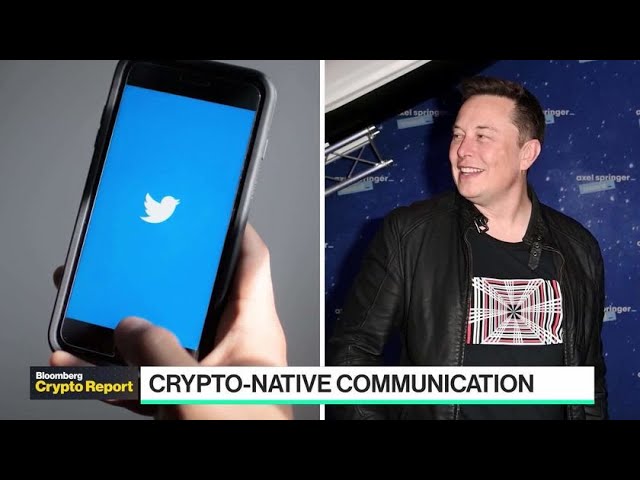 What’s Next in Consumer Crypto Investing