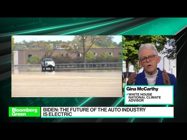 Electric Vehicles Are the Future: Climate Czar