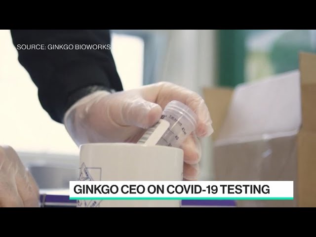 Ginkgo Bioworks Is Expanding Covid Testing Business
