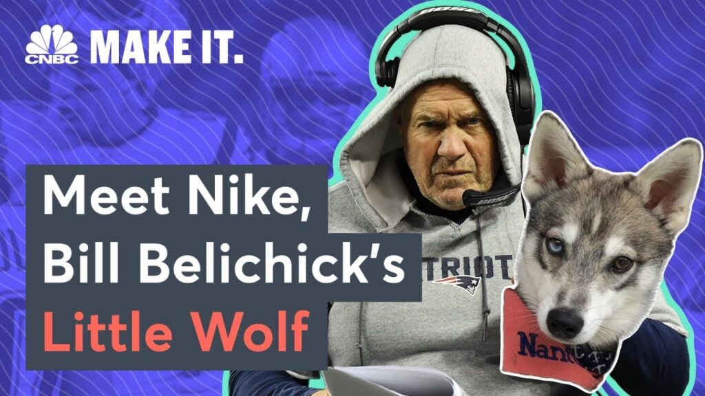 Meet Bill Belichick’s Dog, Nike