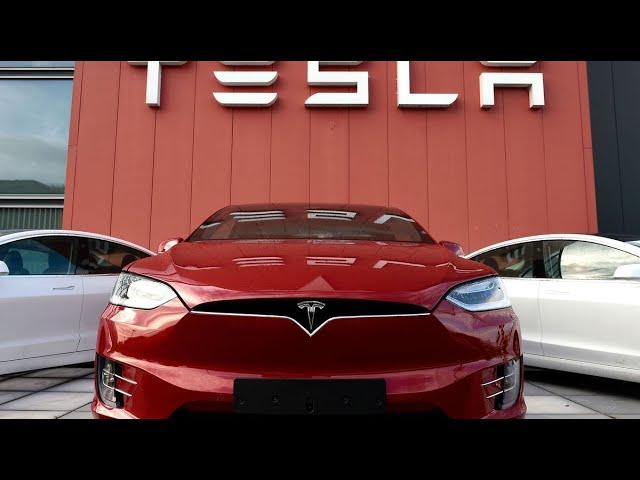 Tesla Stock Behaved In-line With Our Portfolios: Ark’s Cathie Wood