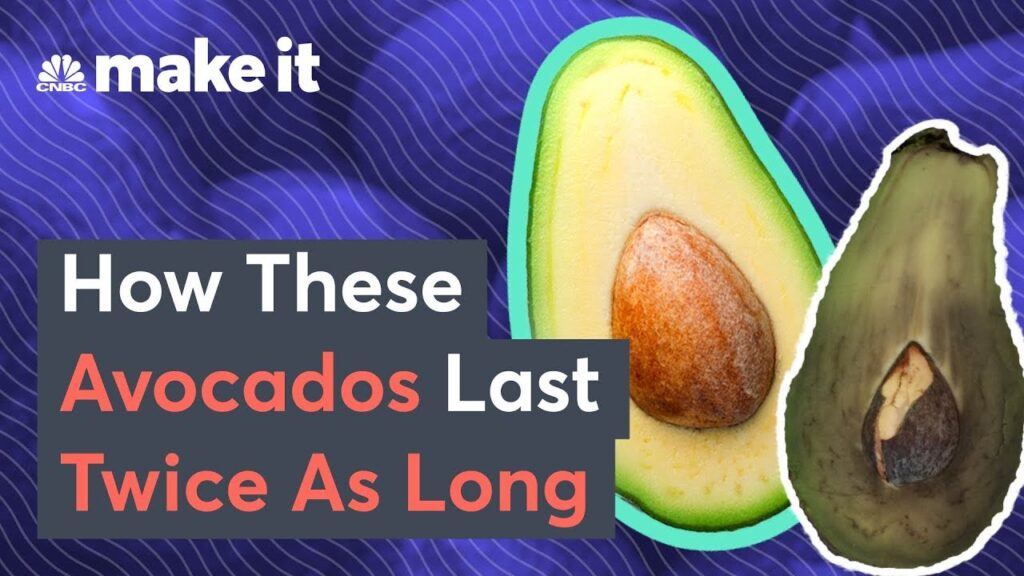 This Bill Gates-Backed Startup Makes Avocados Last Longer