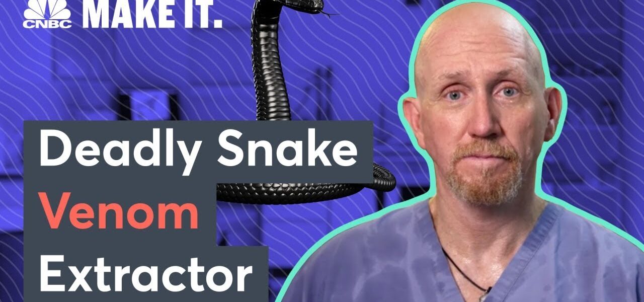 This Man Has The World's Largest Collection Of Venomous Snakes