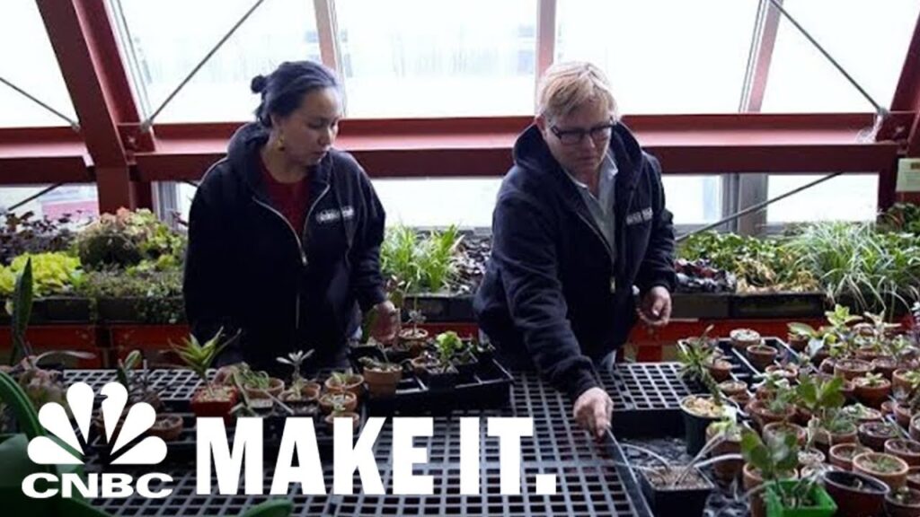 This Woman Turned Her Summer Job Into A Multimillion-Dollar Business | CNBC Make It.
