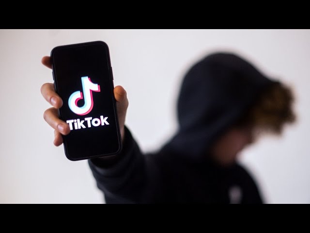 What Makes TikTok so Successful?