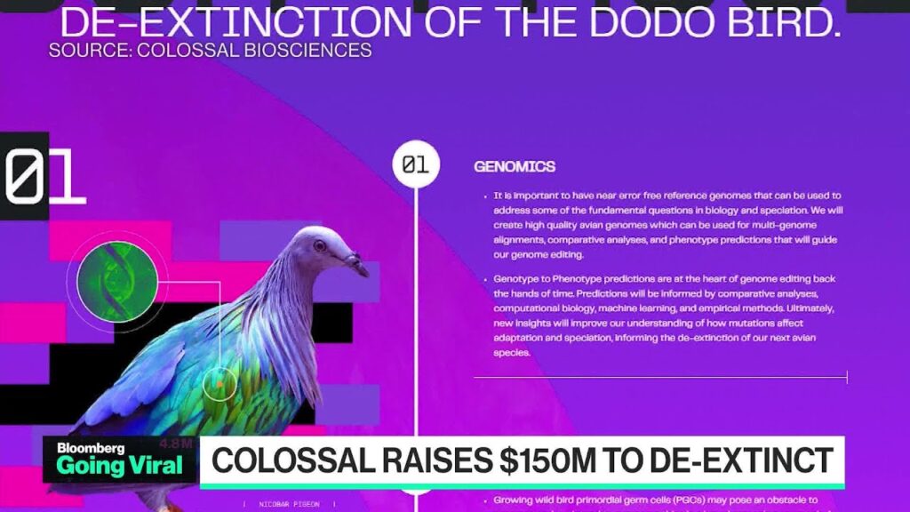 Going Viral: B Startup Aims to Revive Extinct Dodo