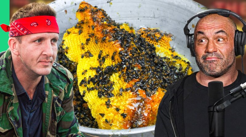 I Fed Joe Rogan Mad Honey From Nepal!! Here’s How I Got It!!