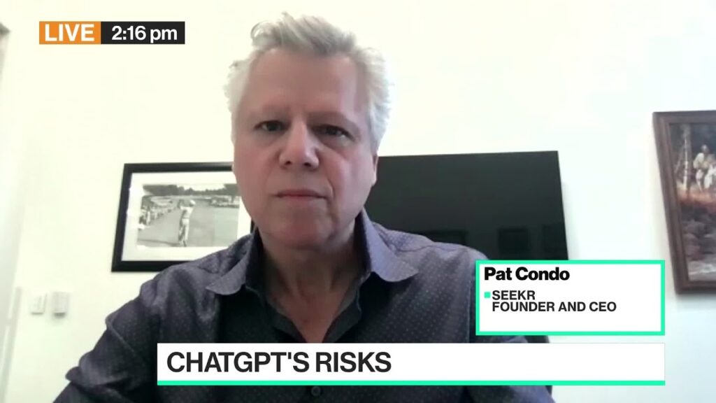 Seekr CEO: Watch Out for AI Misinformation