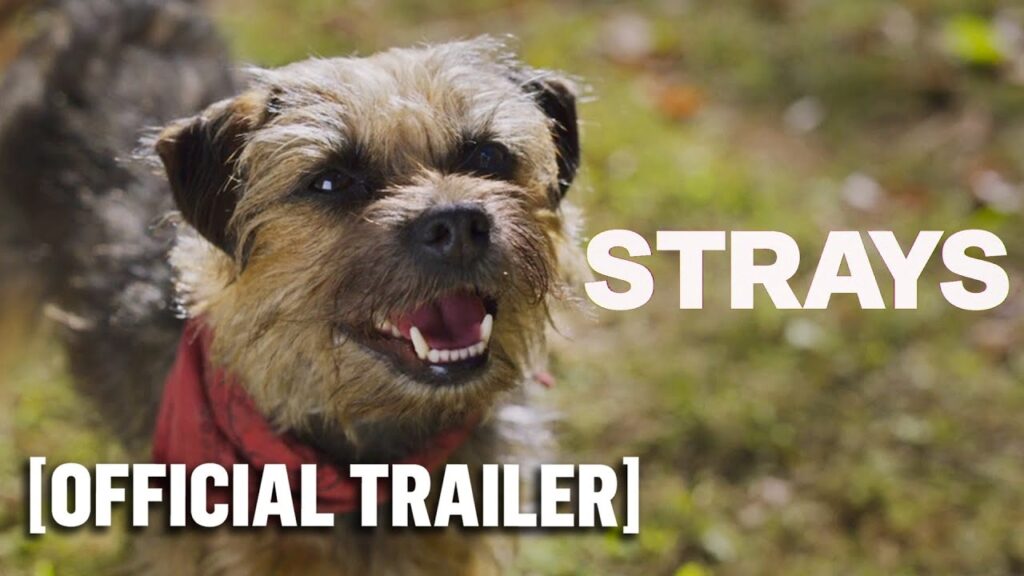Strays – Official Red Band Trailer Starring Will Ferrell & Jamie Foxx