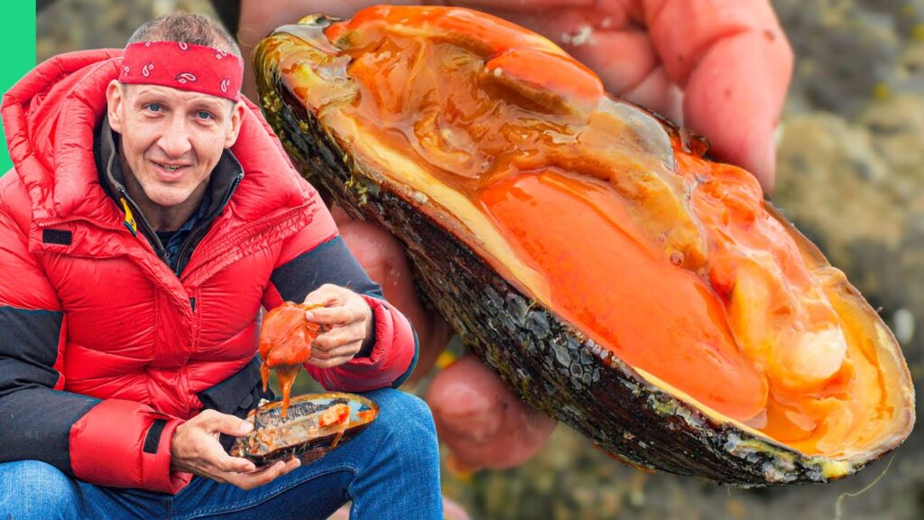 Surviving Europe’s BIzarre Seafood Nation!! The Faroe Islands! (Full Documentary)