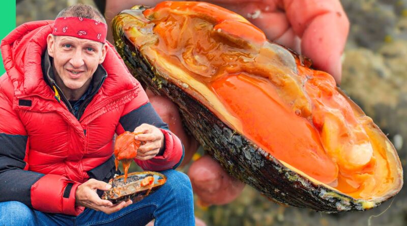 Surviving Europe’s BIzarre Seafood Nation!! The Faroe Islands! (Full Documentary)
