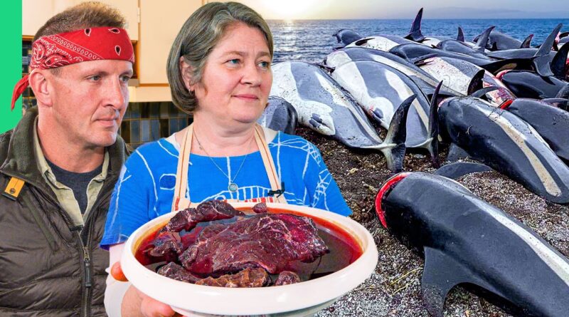 Hunting and Eating Whale!! Europe’s Most Controversial Food!!