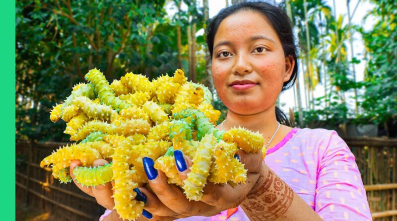 India’s Insect People!! Assamese Village Food!!