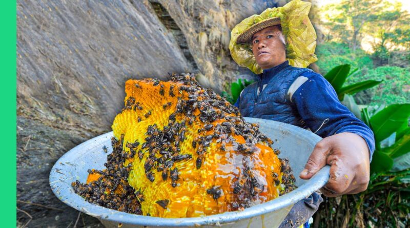 Surviving Nepal!! Street Food, Tribes & Mad Honey!!