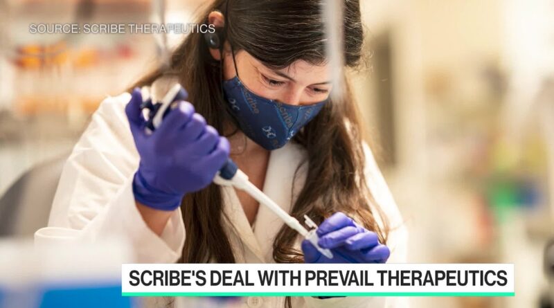 Scribe Inks CRISPR Gene-Editing Deal with Prevail